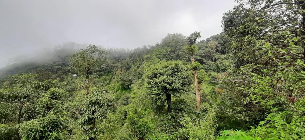 Spinson Home Stay Madikeri Bagian luar foto